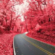 اربح اونلاين AK Abdalla Kasim