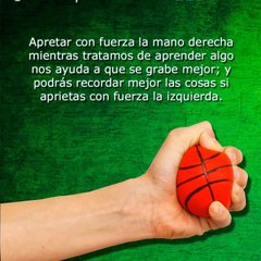 dm_0683a0051a43bc072755362970a55018