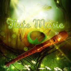 Daily Relaxing Music
