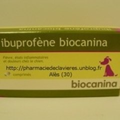 biogaran ibuprofene
