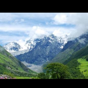 Aman Bisht