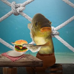 Fish Tank