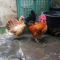 dm_763bba5e55f607a00230d5657b057069