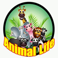 Animal Life