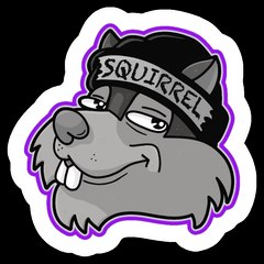 Hey Look Squirrel
