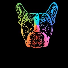 Dog FM