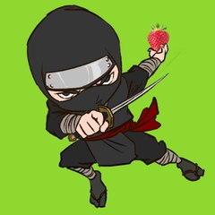 BerryNinja