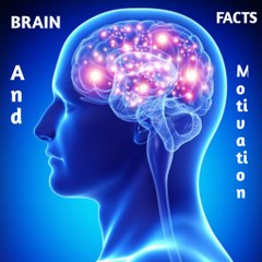 Brain Facts And Motivation