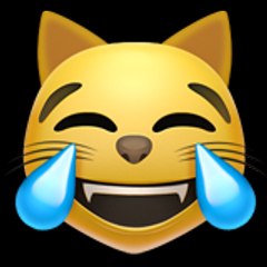 Funny Cat Compilations