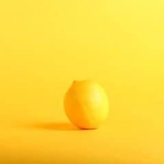 maxdailytest4