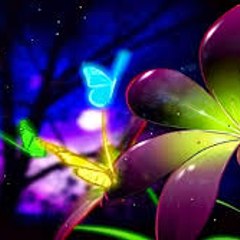 Videos Fun & Variety