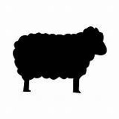 Space Sheep