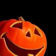 Curious and Funny World