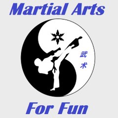 Martial Arts For Fun