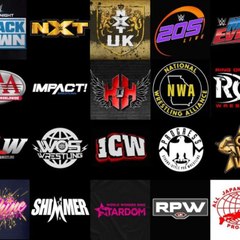 Back in Time Wrestling