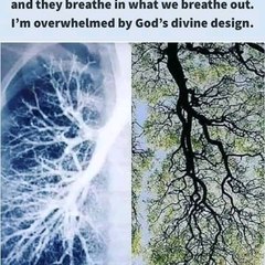 The beauty of nature