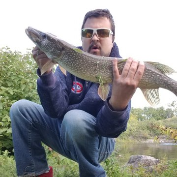 Megascorcher Fishing