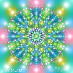 Soul Experience