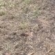 scooter12389