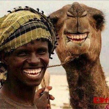 Ful funny fin