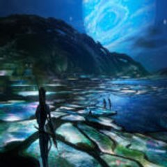 OneBeeTv