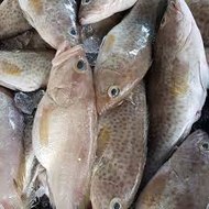 dm_f336da7a607f401571d03318586948f4