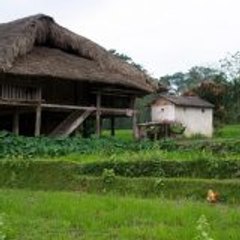 VILLAGE LIFE