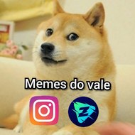 Memes Do Vale