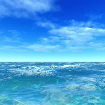 WORLD MOST POPULAR VIDEOS