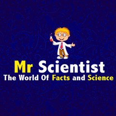 Mr Scientist