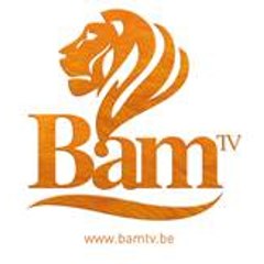 BelAfrika  TV