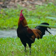 dm_49f668cf18e0f94c04dc6fb402800716