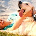 Animal Care