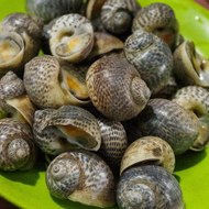 dm_d5d4d7fe6f6f90993251d44f356c661c