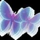 Shiroi