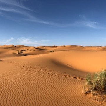 منوعة