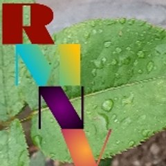 RELAXING MUSIC NATURE VIDEO