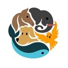 Cute Animals