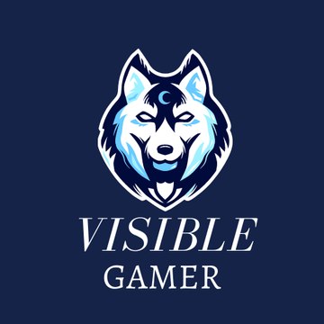 Visible Gamer