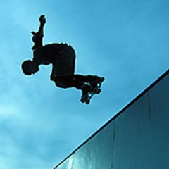 rollerozoir