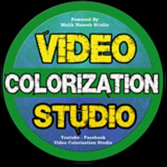 Video Colorization Studio