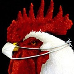 Emin Yarka Tavukçuluk Poultry