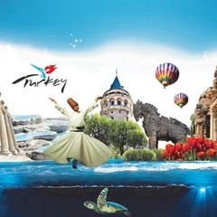Romos Travel
