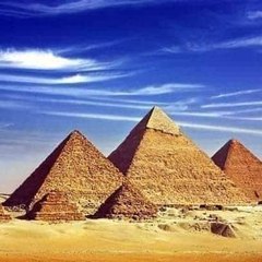 الاخبار نيوزالمصرية