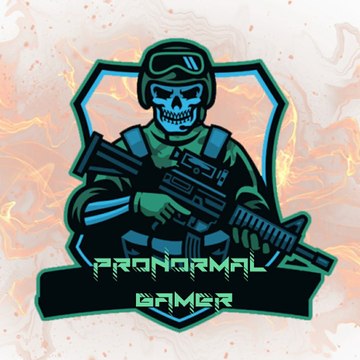 ProNormal Gamer