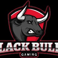 BLACK BULLS GAMING