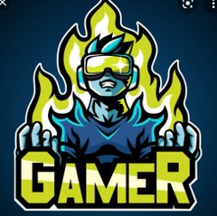 Vanshi gamer