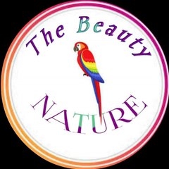 The Nature Beauty