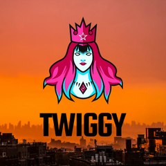 Twiggy Offical