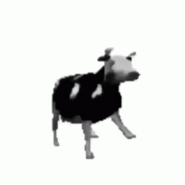 HMDson